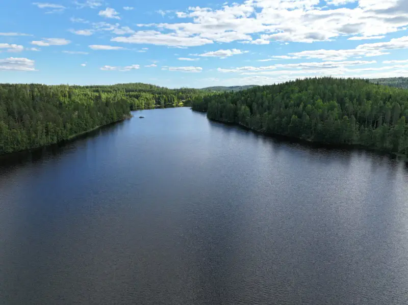 Terrain constructible 6 000 m², rive privée Torikko (määräala) — Kaijansalo / Puumala — 3