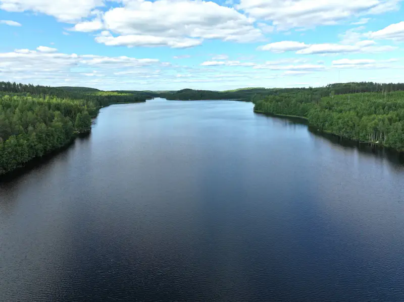 Terrain constructible 6 000 m², rive privée Torikko (määräala) — Kaijansalo / Puumala — 4