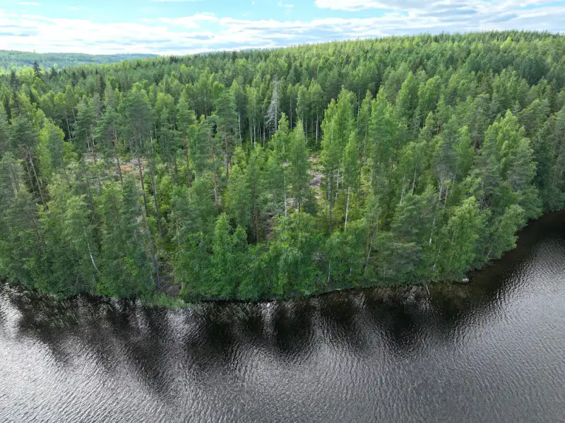Terrain constructible 6 000 m², rive privée Torikko (määräala) — Kaijansalo / Puumala — 5
