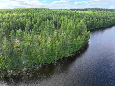 Terrain constructible 6 000 m², rive privée Torikko (määräala) — Kaijansalo / Puumala — 1