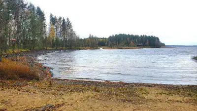 Hirsimökki Honka ~43 m² (1973) + rantasauna et savusauna, 3 610 m² et ~70 m de rive privée Pyhäselkä — Nieminen / Rääkkylä — 1