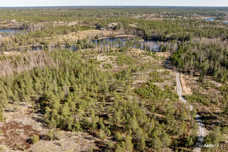 Domaine forêt et rive 12,86 ha, 440 m sur le Långträsket + bâtiment-sauna 18 m² (1992) — Kårböle, Bromarv / Raasepori — 17