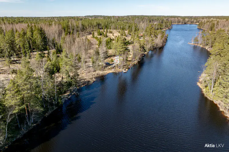 Domaine forêt et rive 12,86 ha, 440 m sur le Långträsket + bâtiment-sauna 18 m² (1992) — Kårböle, Bromarv / Raasepori — 10