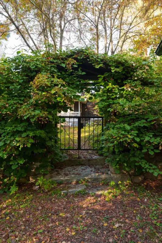 Villa de loisirs ~80 m² (1961, rénovée 2006) + sauna de rive, 6 685 m² et rive mer privée — Tammisaari / Raasepori — 5