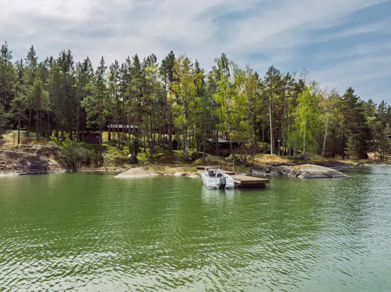 Hirsihuvila ~55 m² + maison d’amis et rantasauna, ~2,75 ha et rive mer — Älgö / Raasepori — 2