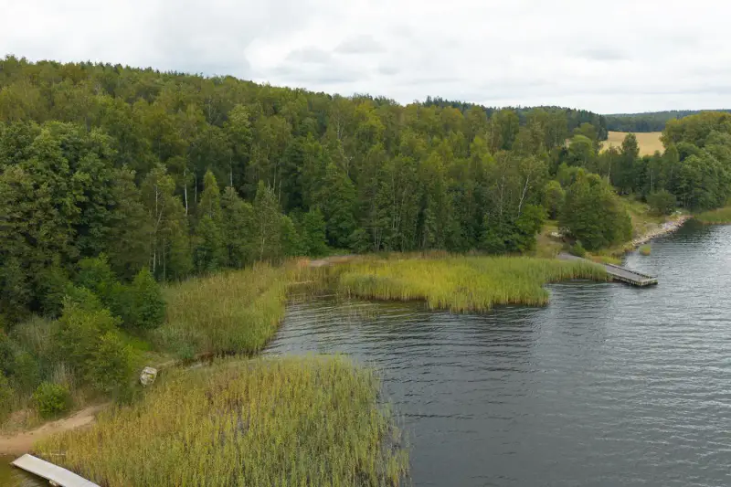 Terrain loisirs ~2,49 ha, rive sud Vikstrandsviken (~110 m), permis 2025 — Tenhola / Raasepori — 2
