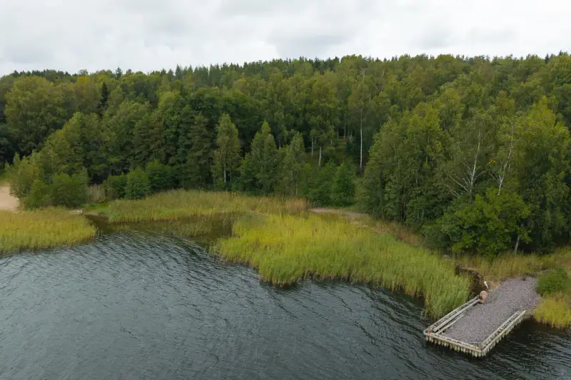 Terrain loisirs ~2,49 ha, rive sud Vikstrandsviken (~110 m), permis 2025 — Tenhola / Raasepori — 3