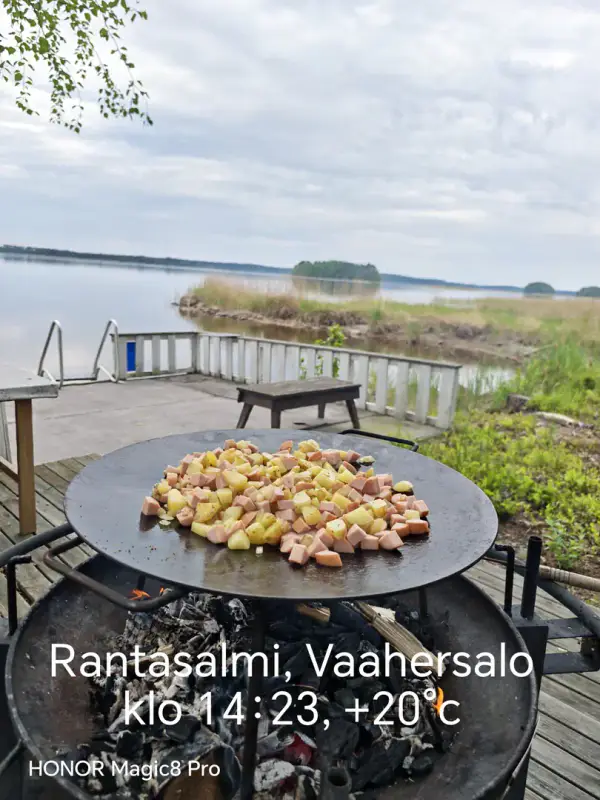 Chalet rive Saimaa près Linnansaari — Vaahersalo (Rantasalmi), 83 m², 5 030 m², ~100 m rive — 13
