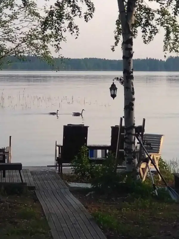 Chalet rive Saimaa près Linnansaari — Vaahersalo (Rantasalmi), 83 m², 5 030 m², ~100 m rive — 11