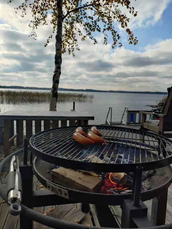 Chalet rive Saimaa près Linnansaari — Vaahersalo (Rantasalmi), 83 m², 5 030 m², ~100 m rive — 17