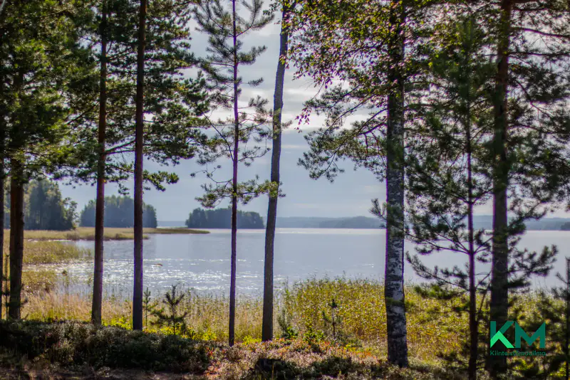 Maison neuve 2024 (~68 m²) + rantasauna, ~500 m rive Saimaa/Haukivesi, 3,8 ha — Vaahersalo / Rantasalmi — 10