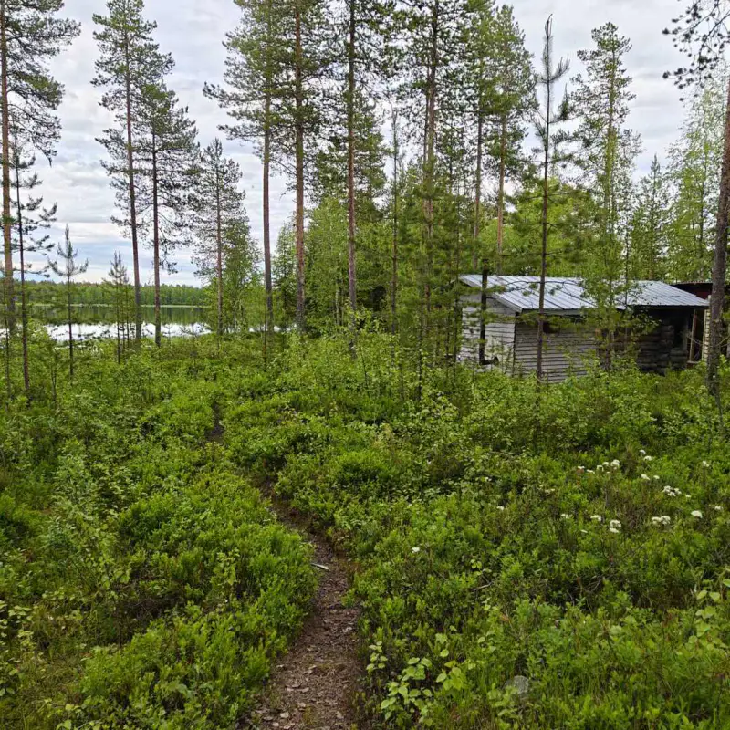 Mökki ~24 m² en rondins, rive lacustre, 19 900 m² — Kuha / Ranua — 11