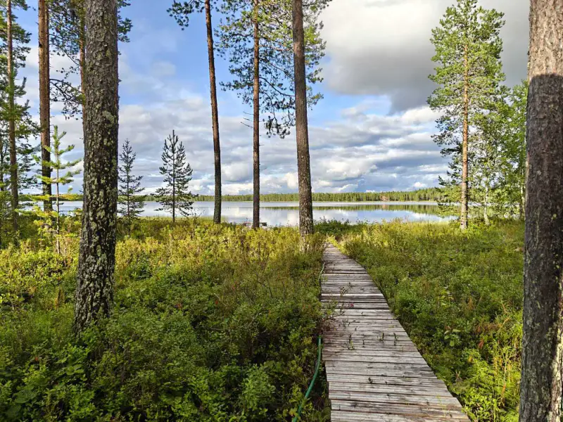 Mökki ~24 m² en rondins, rive lacustre, 19 900 m² — Kuha / Ranua — 5