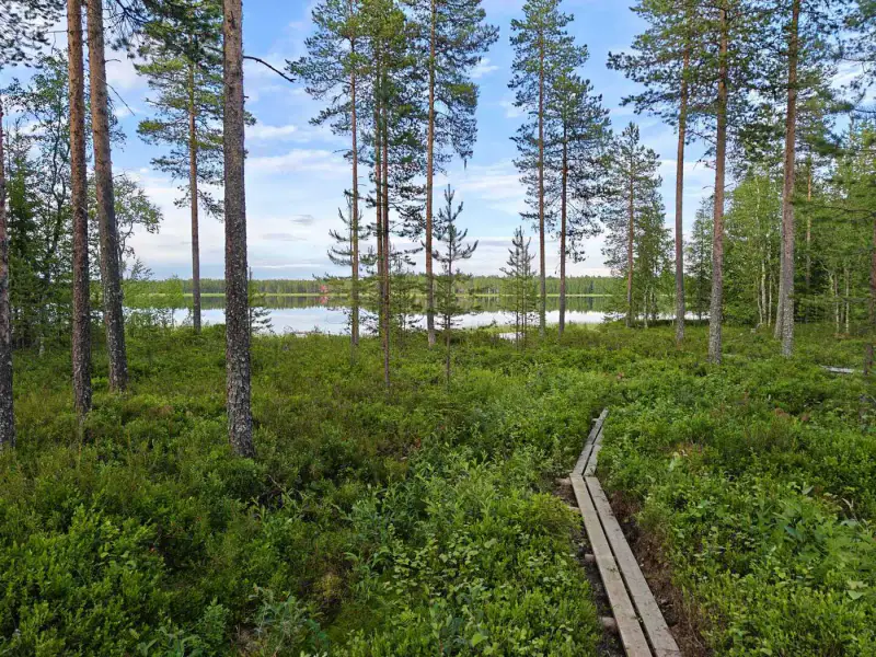 Mökki ~24 m² en rondins, rive lacustre, 19 900 m² — Kuha / Ranua — 8