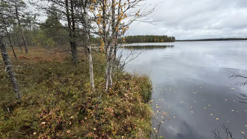 Terrain constructible ~1,5 ha et ~110 m de rive privée Simojärvi (droit à bâtir ~250 m²) — Impiö / Ranua — 8