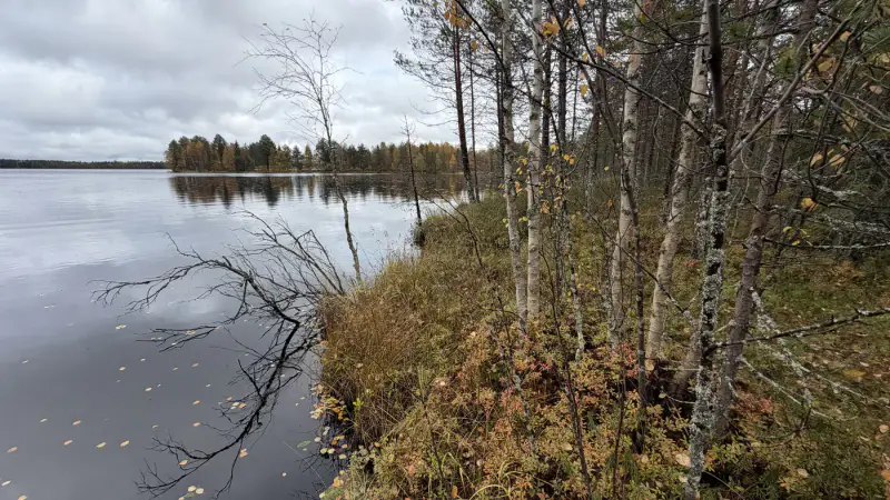 Terrain constructible ~1,5 ha et ~110 m de rive privée Simojärvi (droit à bâtir ~250 m²) — Impiö / Ranua — 5