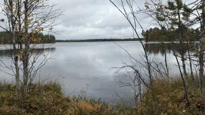Terrain constructible ~1,5 ha et ~110 m de rive privée Simojärvi (droit à bâtir ~250 m²) — Impiö / Ranua — 1