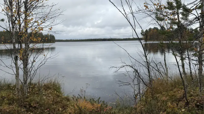 Terrain constructible ~1,5 ha et ~110 m de rive privée Simojärvi (droit à bâtir ~250 m²) — Impiö / Ranua — 1