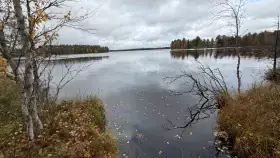 Terrain constructible ~1,5 ha et ~110 m de rive privée Simojärvi (droit à bâtir ~250 m²) — Impiö / Ranua — 4