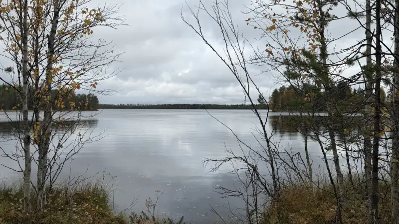 Terrain constructible ~1,5 ha et ~110 m de rive privée Simojärvi (droit à bâtir ~250 m²) — Impiö / Ranua — 2