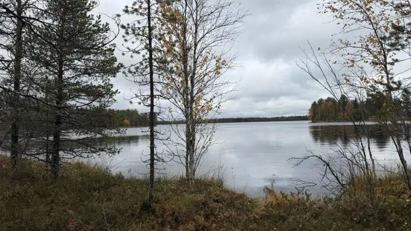 Terrain constructible ~1,5 ha et ~110 m de rive privée Simojärvi (droit à bâtir ~250 m²) — Impiö / Ranua — 3