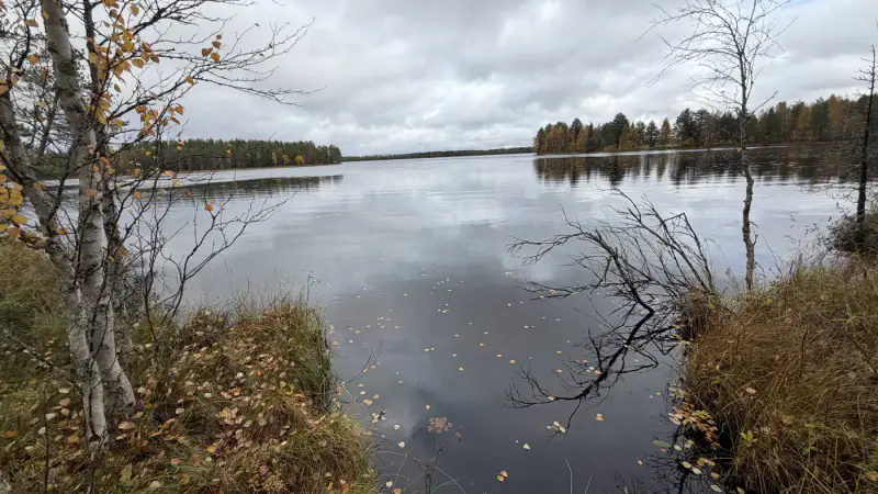 Terrain constructible ~1,5 ha et ~110 m de rive privée Simojärvi (droit à bâtir ~250 m²) — Impiö / Ranua — 6