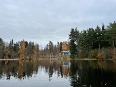 Mökki ~36 m² (2006) + sauna à bois, 4 761 m² et ~80 m de rive privée sur l’Armisvesi — Myhinpää / Rautalampi — 1