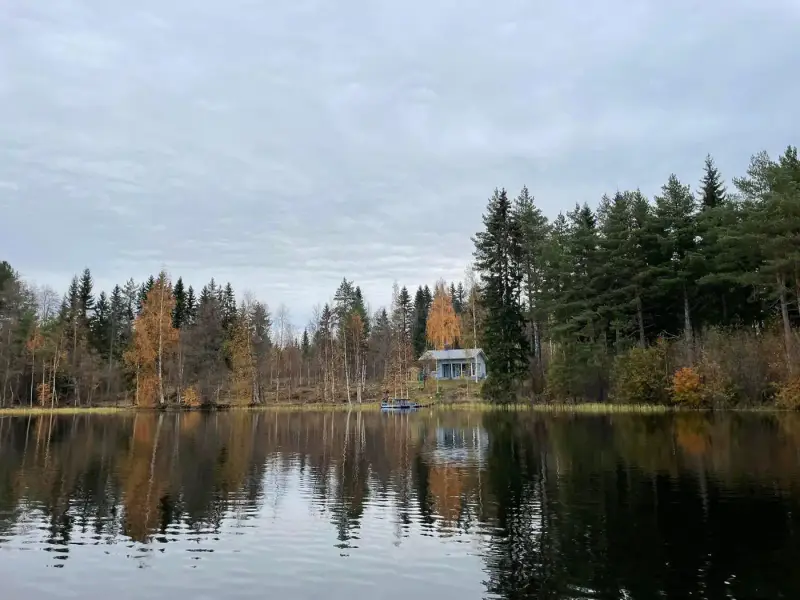 Mökki ~36 m² (2006) + sauna à bois, 4 761 m² et ~80 m de rive privée sur l’Armisvesi — Myhinpää / Rautalampi — 1