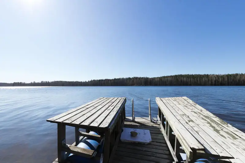 Mökki ~36 m² (2006) + sauna à bois, 4 761 m² et ~80 m de rive privée sur l’Armisvesi — Myhinpää / Rautalampi — 6