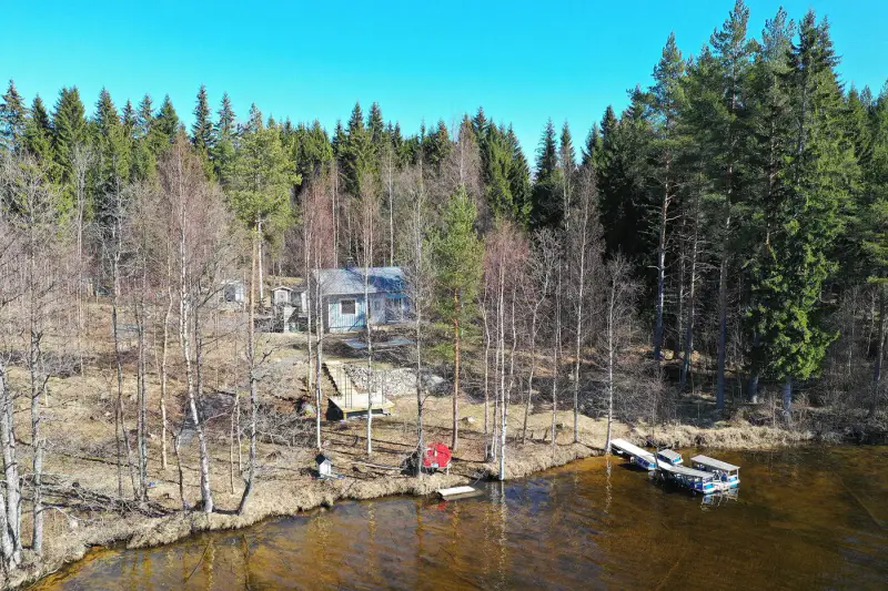 Mökki ~36 m² (2006) + sauna à bois, 4 761 m² et ~80 m de rive privée sur l’Armisvesi — Myhinpää / Rautalampi — 4
