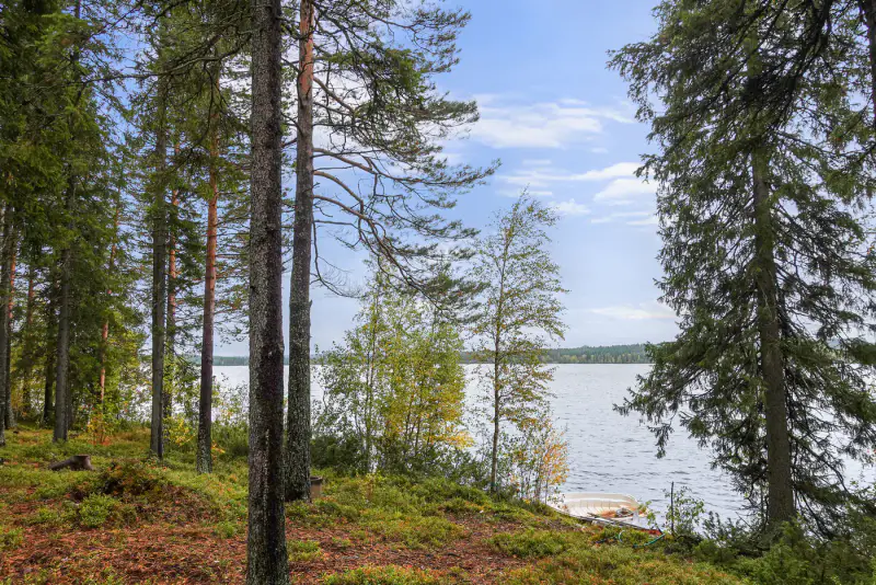 Chalet ~31 m² + sauna 1976, rive Putkosjärvi (~170 m) et rivière, 7 970 m² — Ristijärvi — 17