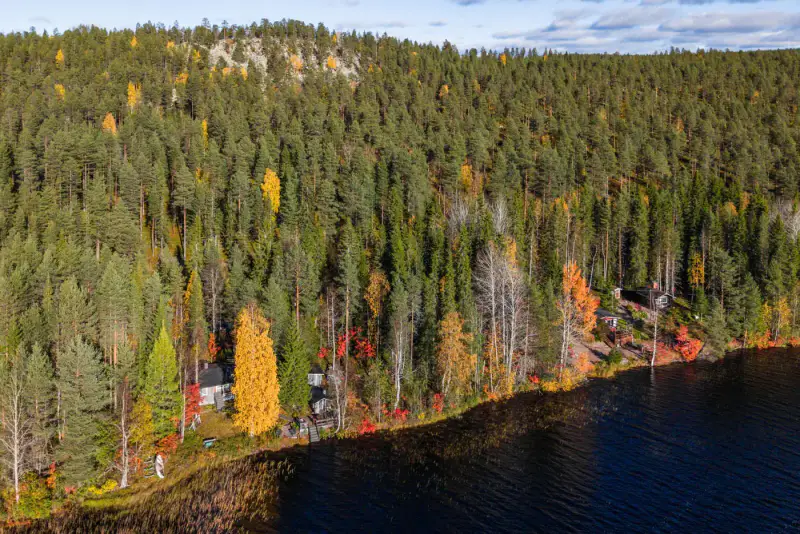 Chalet en rondins (30,6 m²) + sauna extérieur, 2 435 m² et 73 m de rive sable sur le Sonkajärvi — Sonka, Rovaniemi — 1