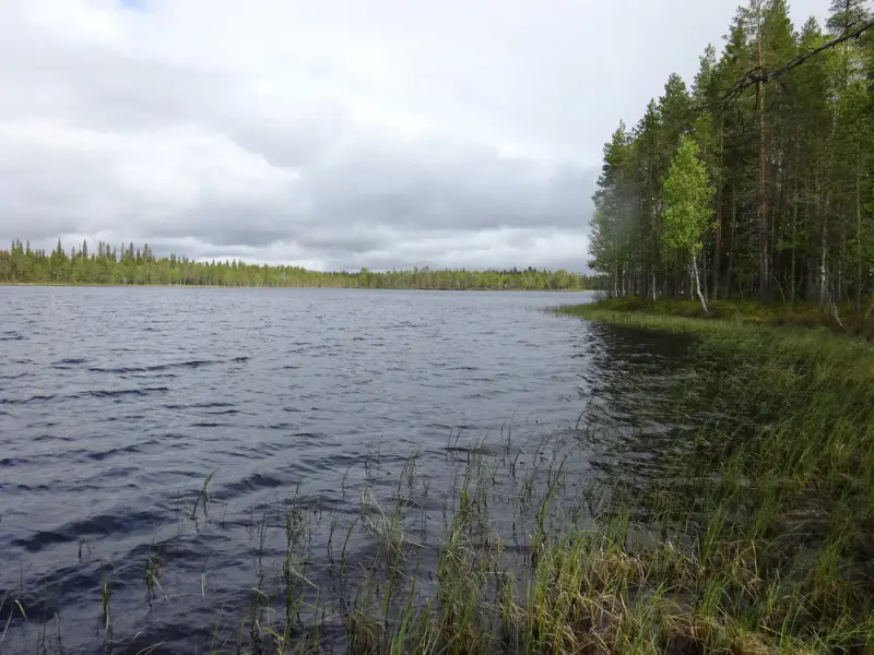 Terrain vacant 5 351 m², rive rocheuse Venejärvi — Autti / Rovaniemi — 8