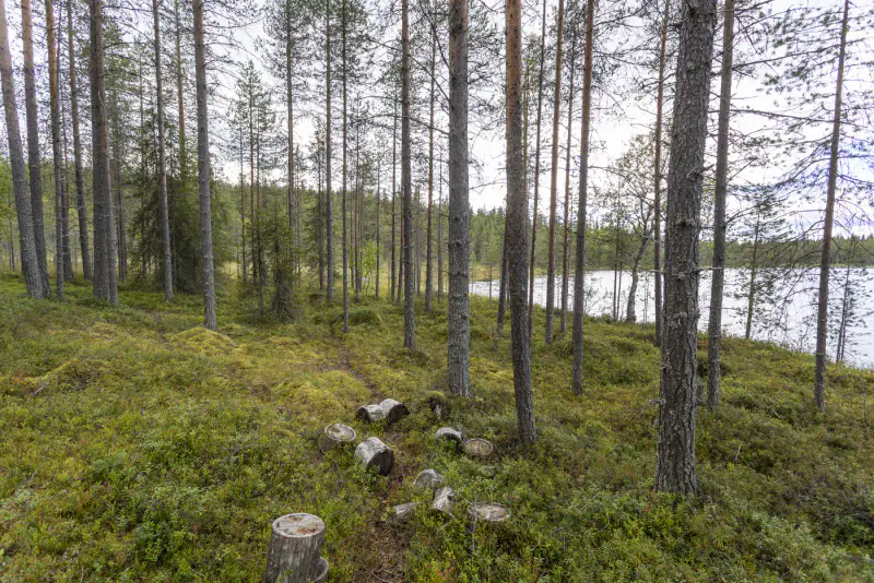 Terrain vacant 5 351 m², rive rocheuse Venejärvi — Autti / Rovaniemi — 10