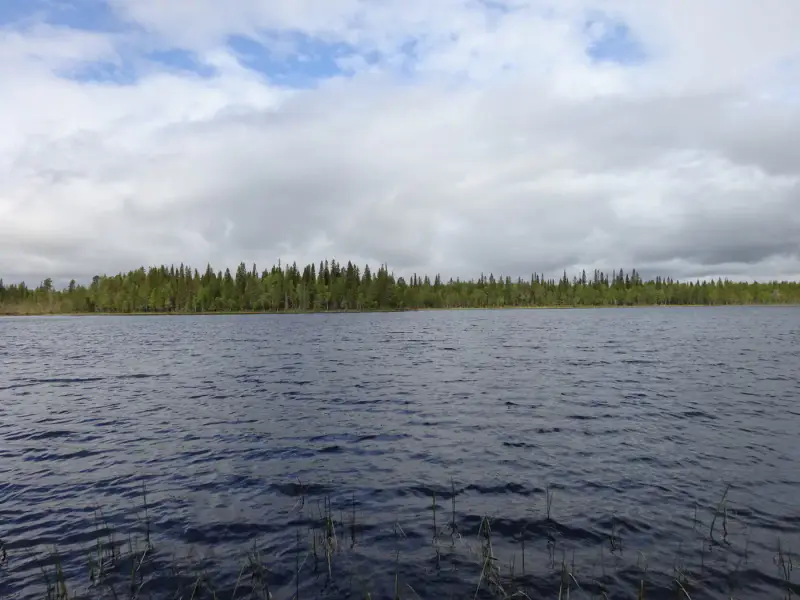 Terrain vacant 5 351 m², rive rocheuse Venejärvi — Autti / Rovaniemi — 7