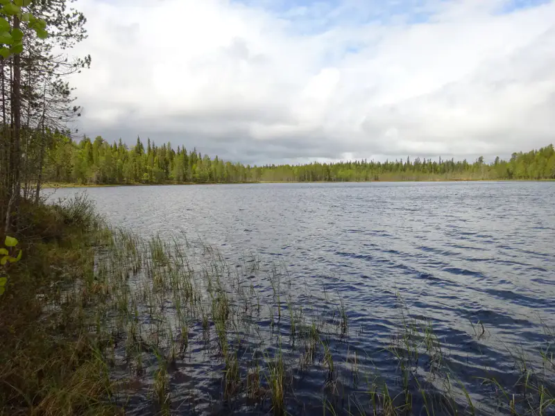 Terrain vacant 5 351 m², rive rocheuse Venejärvi — Autti / Rovaniemi — 5