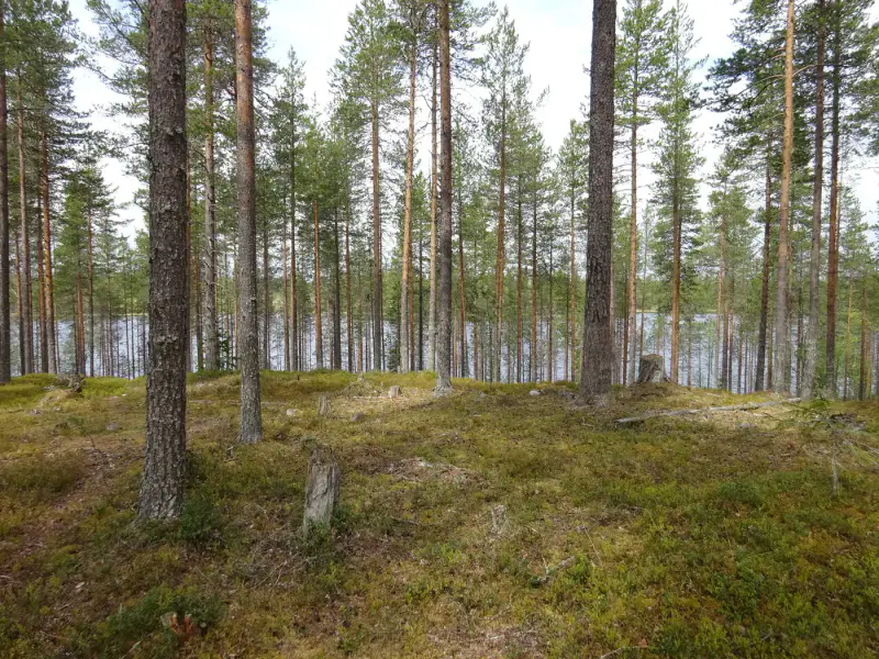 Terrain vacant 5 351 m², rive rocheuse Venejärvi — Autti / Rovaniemi — 11