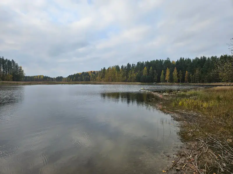 Mökki traditionnel (1960) + sauna de rive en rondins (1985), 2 330 m² et rive privée de sable sur la Saimaa — Salosaari / Ruokolahti — 6
