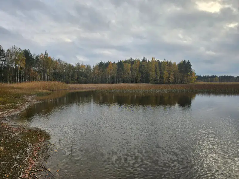 Mökki traditionnel (1960) + sauna de rive en rondins (1985), 2 330 m² et rive privée de sable sur la Saimaa — Salosaari / Ruokolahti — 9