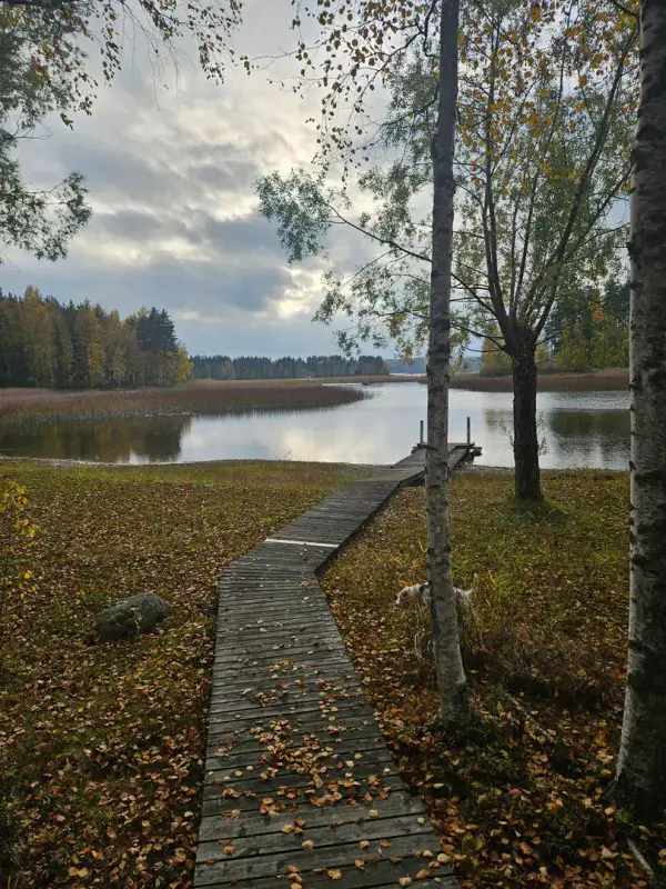 Mökki traditionnel (1960) + sauna de rive en rondins (1985), 2 330 m² et rive privée de sable sur la Saimaa — Salosaari / Ruokolahti — 5