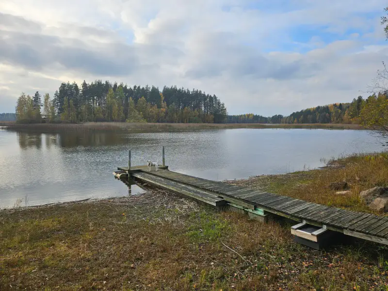 Mökki traditionnel (1960) + sauna de rive en rondins (1985), 2 330 m² et rive privée de sable sur la Saimaa — Salosaari / Ruokolahti — 1