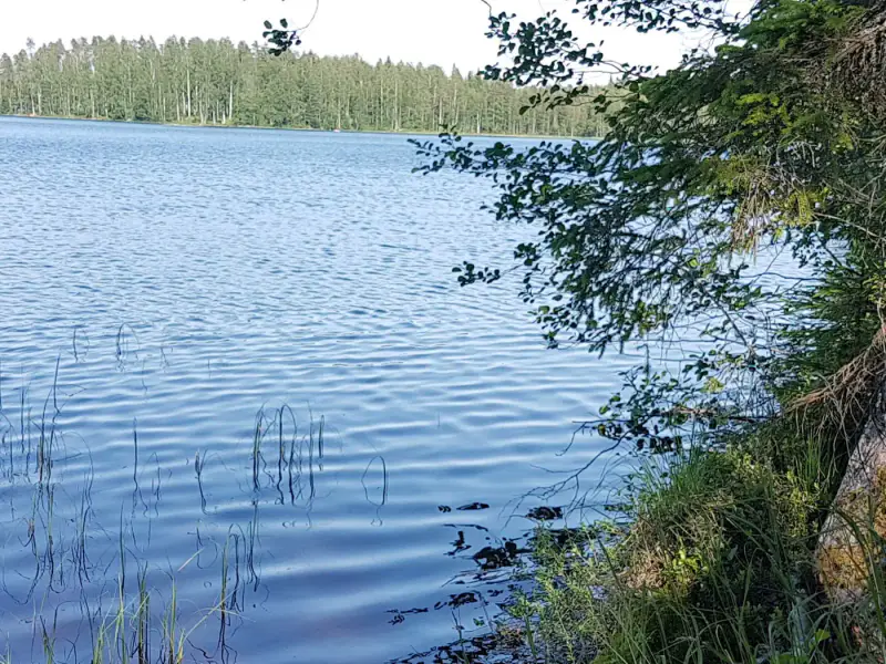 Terrain rive ~5 430 m², droit RA 200 m² — Virmutjoki / Ruokolahti — 3