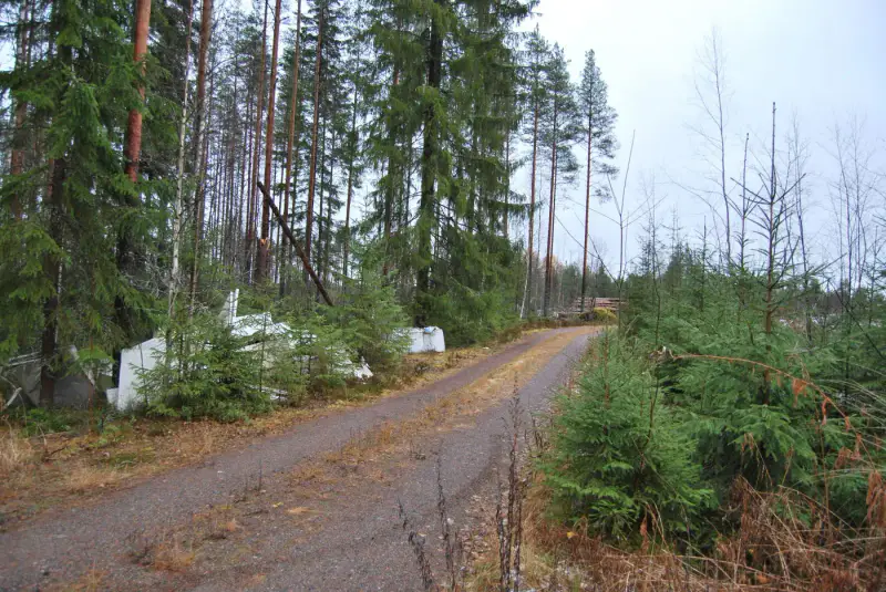 Terrain rive ~5 430 m², droit RA 200 m² — Virmutjoki / Ruokolahti — 5