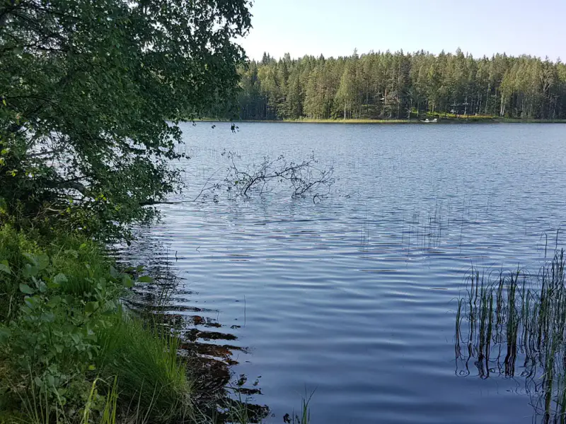Terrain rive ~5 430 m², droit RA 200 m² — Virmutjoki / Ruokolahti — 2