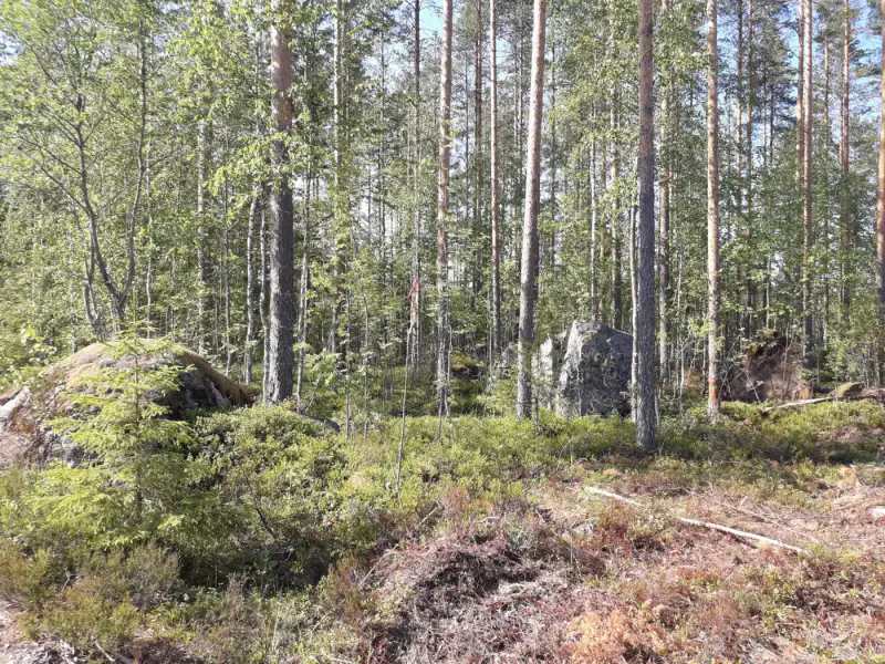 Terrain rive ~5 430 m², droit RA 200 m² — Virmutjoki / Ruokolahti — 8