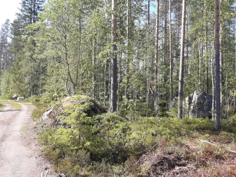 Terrain constructible ~5 430 m², droit 200 k-m², rive lac — Virmutjoki / Ruokolahti — 7