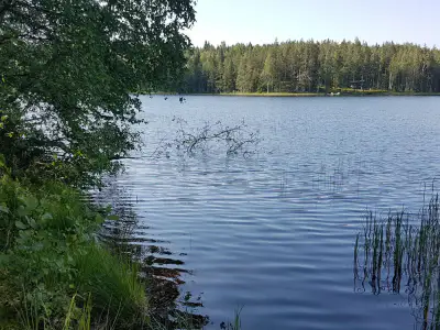 Terrain constructible ~5 430 m², droit 200 k-m², rive lac — Virmutjoki / Ruokolahti — 1