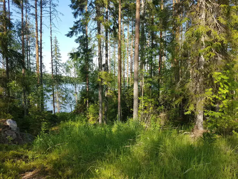 Terrain constructible ~5 430 m², droit 200 k-m², rive lac — Virmutjoki / Ruokolahti — 4