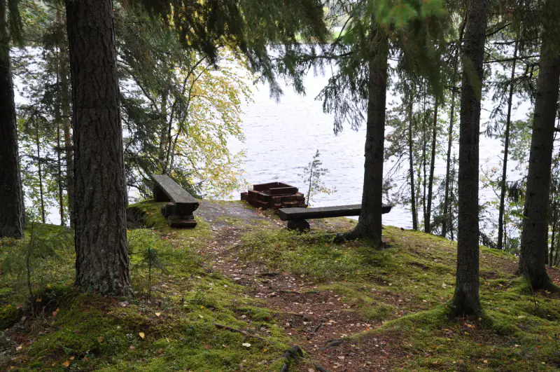 Mökki en rondins ~65 m² (1973) + sauna à bois, 4 350 m² et 90 m de rive privée sur l’Isojärvi, au bout de la route — Jäminkipohja / Ruovesi — 8
