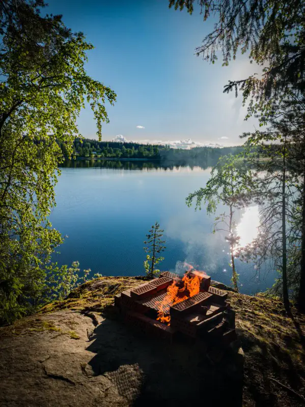 Mökki en rondins ~65 m² (1973) + sauna à bois, 4 350 m² et 90 m de rive privée sur l’Isojärvi, au bout de la route — Jäminkipohja / Ruovesi — 1
